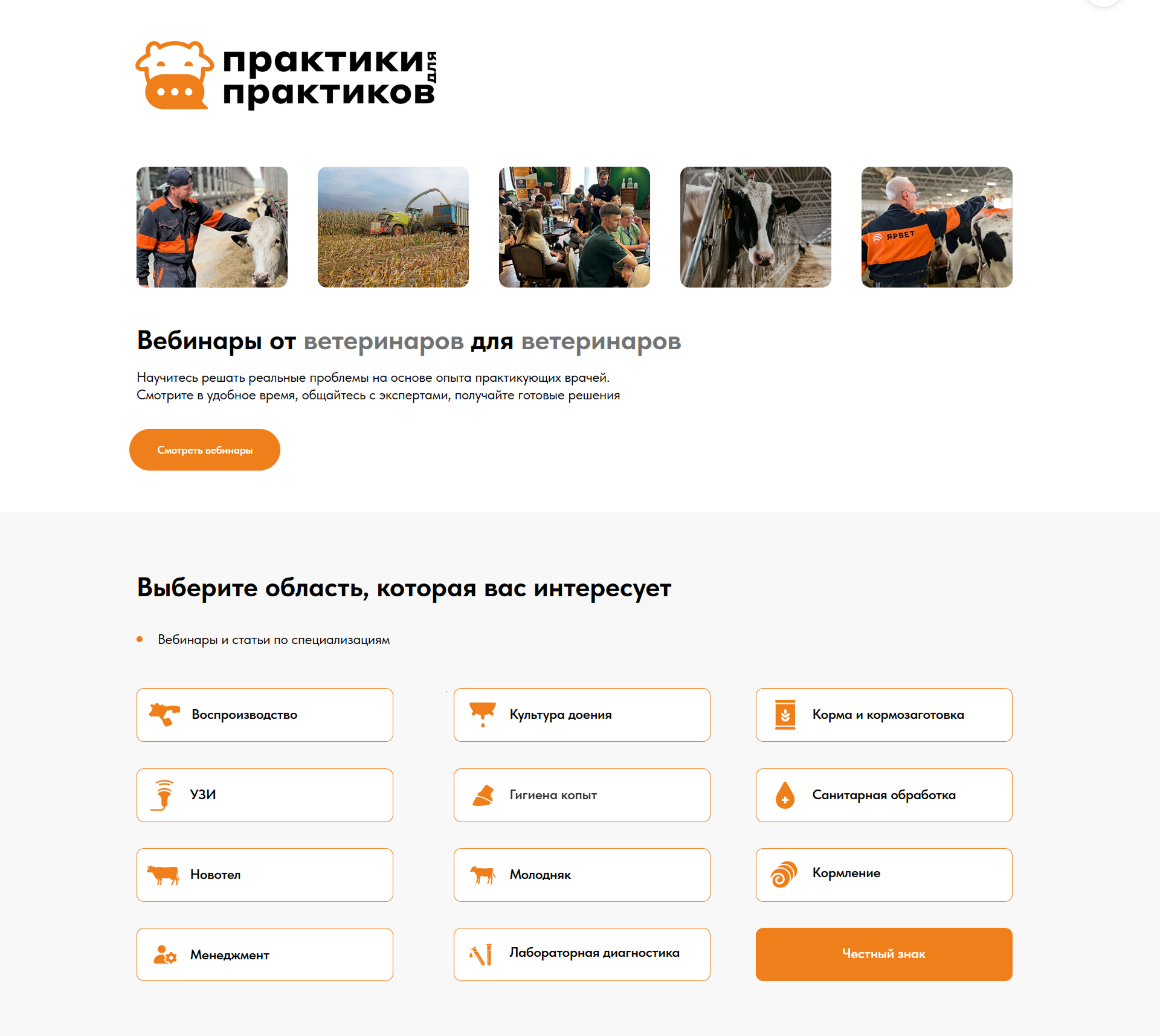 Скриншот проекта Образовательный портал для ветеринаров